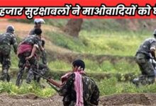 प्रदेश में सुरक्षाबलों का बड़ा अभियान, बीजापुर में मारे गए 42 माओवादी