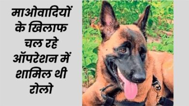 मधुमक्खियों के हमले में सीआरपीएफ डॉग रोलो की मौत
