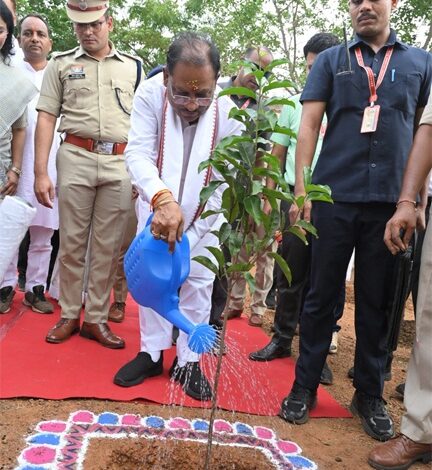 मुख्यमंत्री ने बालोद में लगाया आम का पौधा मुख्यमंत्री ने बालोद में लगाया आम का पौधा