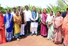 मुख्यमंत्री पहुंचे उत्कृष्ट किसान रोहित साहू के खेतों में: केला और पपीता की खेती से कमा रहे लाखों का मुनाफा, 15-20 लोगों को अपने खेत में दे रहे रोजगार