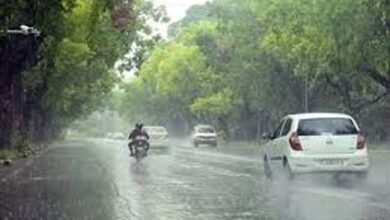 छत्तीसगढ़ में नौतपे में आया मानसून…बारिश का अलर्ट