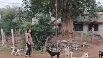 कारोबारी की बेटी ने मां-बेटे को 20-25 कुत्तों से कटवाया