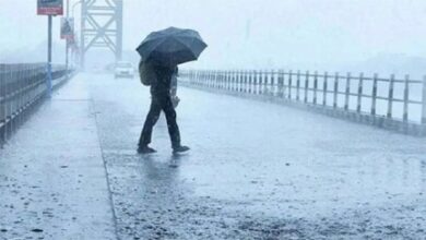 तय समय से पहले मानसून ने दी दस्तक