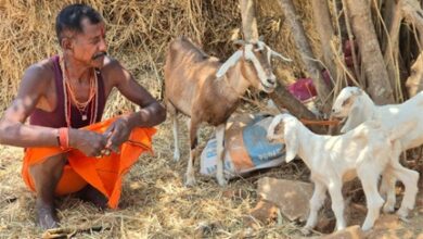 बकरी पालन बना आर्थिक सशक्तिकरण का आधार