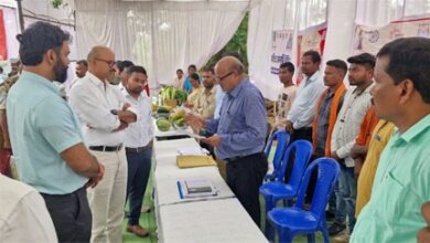 सुशासन तिहार 2025: सचिव अन्बलगन पी ने जशपुर जिले के पुराइनबंध में आयोजित समाधान शिविर का किया आकस्मिक निरीक्षण