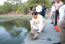 मुख्यमंत्री डॉ. यादव ने वन विहार राष्ट्रीय उद्यान के जल क्षेत्र में छोड़े कछुए