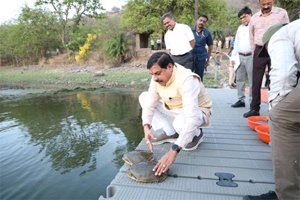 मुख्यमंत्री डॉ. यादव ने वन विहार राष्ट्रीय उद्यान के जल क्षेत्र में छोड़े कछुए मुख्यमंत्री डॉ. यादव ने वन विहार राष्ट्रीय उद्यान के जल क्षेत्र में छोड़े कछुए