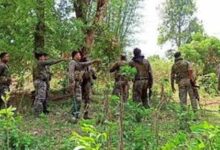 तेलंगाना ग्रेहाउंड फोर्स के 5 जवान आईईडी धमाके में शहीद, 10 माओवादियों को भी मार गिराया