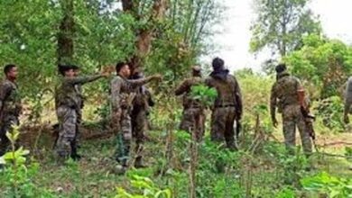 तेलंगाना ग्रेहाउंड फोर्स के 5 जवान आईईडी धमाके में शहीद, 10 माओवादियों को भी मार गिराया