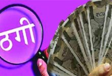 विदेशी कंपनी के नाम पर ठगी, LIC Advisor समेत 32 से ठगी