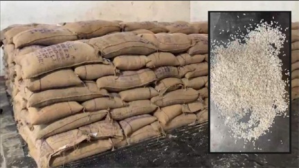 राशन दुकानों में खराब चावल की हो रही आपूर्ति, संचालक लौटाने को मजबूर राशन दुकानों में खराब चावल की हो रही आपूर्ति, संचालक लौटाने को मजबूर