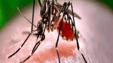 बस्तर संभाग में मलेरिया प्रकरणों में 72% की गिरावट: जनसहयोग से मिली बड़ी सफलता