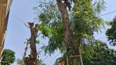 हाइटेंशन तार की चपेट में आया बुजुर्ग, मौके पर हुई मौत…