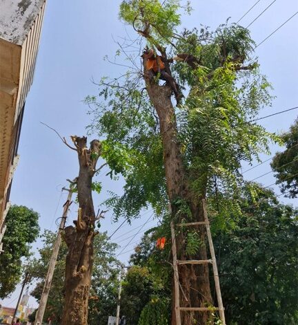 हाइटेंशन तार की चपेट में आया बुजुर्ग, मौके पर हुई मौत… हाइटेंशन तार की चपेट में आया बुजुर्ग, मौके पर हुई मौत…