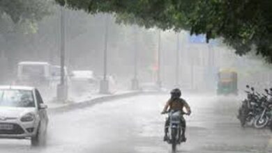 प्रदेश में अब तक 62.5 मि.मी. औसत वर्षा दर्ज