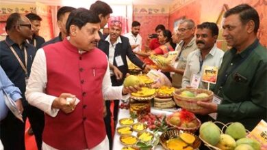 मुख्यमंत्री डॉ. यादव ने बॉम्बे ग्रीन और मणि प्रभा किस्म का स्वाद चख कर “आम महोत्सव” का किया शुभारंभ