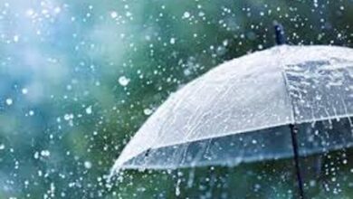 प्रदेश में अब तक 500.4 मि.मी. औसत वर्षा दर्ज