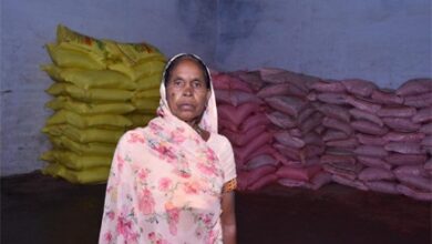 पर्याप्त मात्रा में किसानों को मिल रहा खाद एवं बीज