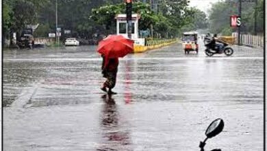 प्रदेश में अब तक 291.9 मि.मी. औसत वर्षा दर्ज