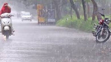 प्रदेश में अब तक 336.3 मि.मी. औसत वर्षा दर्ज