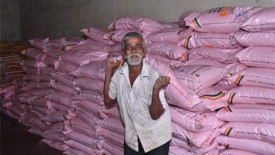 छत्तीसगढ़ में खाद की कोई कमी नहीं