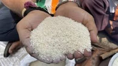 एकमुश्त चावल वितरण की समयावधि 31 जुलाई 2025 तक बढ़ाई गई