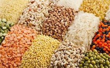 राज्य में खाद-बीज और कीटनाशक औषधियों की गुणवत्ता की जांच जारी