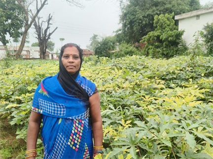 आधुनिक खेती व मेहनत में केतकी बाई को बनाया लखपति दीदी