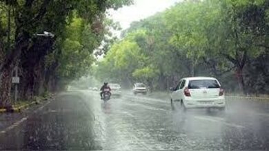 प्रदेश में अब तक 349.9 मि.मी. औसत वर्षा दर्ज