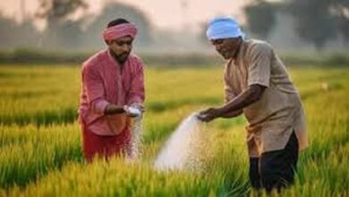 प्रदेश में खेती-किसानी का कार्य तेजी के साथ जारी