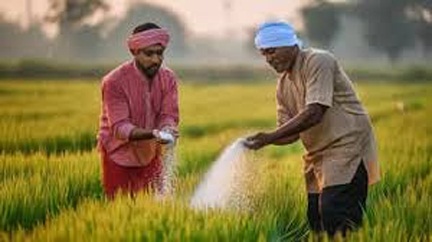 प्रदेश में खेती-किसानी का कार्य तेजी के साथ जारी प्रदेश में खेती-किसानी का कार्य तेजी के साथ जारी