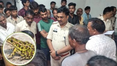 कुंए में मरा मेंढक निकालने उतरे पिता-पुत्र की मौत