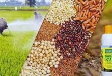 प्रदेश में रासायनिक खाद पर्याप्त मात्रा में उपलब्ध