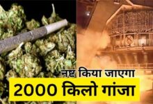 पुलिस ने 2000 किलो अवैध गांजा बरामद किया