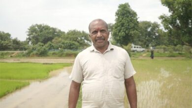 समय पर मिला खाद, खिल उठी उम्मीदें, संतोष की मेहनत में भरेंगे रंग