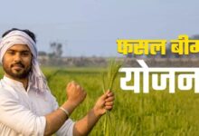 बिलासपुर में अटकी किसानों की बीमा राशि
