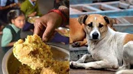 जूठा भोजन परोसने के मामले में प्रशासन की बड़ी कार्रवाई जूठा भोजन परोसने के मामले में प्रशासन की बड़ी कार्रवाई