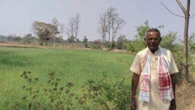 कम लागत से गेहूं की फसल में किसानों को मिलेगा ज्यादा मुनाफा