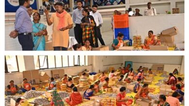 धमतरी से देशभर में गूंजेगी ग्रीन आतिशबाजी: 100 से अधिक महिलाओं को मिला रोजगार