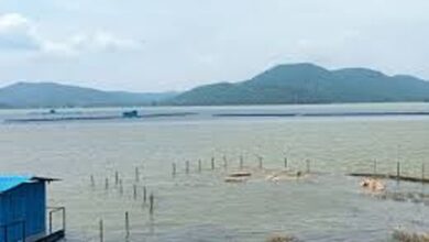 छीरपानी जलाशय के कार्यों के लिए 8.10 करोड़ रूपए स्वीकृत