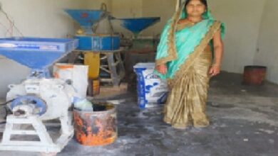 मेहनत से सही दिशा में प्रयास कर लखपति दीदी बनी सरभोका की शशिकला
