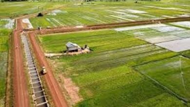 कंजी और लोकल नाला पर सिंचाई योजना के कार्यों के लिए 5.56 करोड़ रूपए से अधिक की राशि स्वीकृत कंजी और लोकल नाला पर सिंचाई योजना के कार्यों के लिए 5.56 करोड़ रूपए से अधिक की राशि स्वीकृत