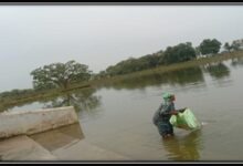 अमृत सरोवर से मिल रही आर्थिक उन्नति