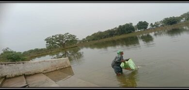 अमृत सरोवर से मिल रही आर्थिक उन्नति