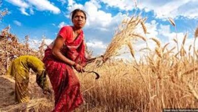 महिला कृषकों के लिये उपयुक्त सहयोगी कृषि उपकरण पर प्रशिक्षण कार्यक्रम सम्पन्न