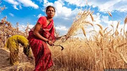 महिला कृषकों के लिये उपयुक्त सहयोगी कृषि उपकरण पर प्रशिक्षण कार्यक्रम सम्पन्न महिला कृषकों के लिये उपयुक्त सहयोगी कृषि उपकरण पर प्रशिक्षण कार्यक्रम सम्पन्न