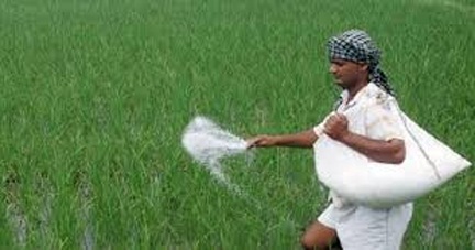 प्रदेश के किसानों को अब तक 8.35 लाख मीट्रिक टन रासायनिक खाद वितरित