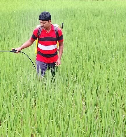 धमतरी की स्वर्णिम कृषि यात्रा : आत्मनिर्भरता और समृद्धि के 25 वर्ष