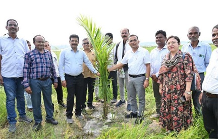 कलेक्टर जन्मेजय महोबे पहुँचे ऑयल पाम के खेत, किसानों को दी स्थायी आमदनी की राह कलेक्टर जन्मेजय महोबे पहुँचे ऑयल पाम के खेत, किसानों को दी स्थायी आमदनी की राह