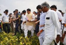 मध्यप्रदेश सरकार किसानों के साथ किसानों को किसी तरह का नुकसान नहीं होने देंगे : मुख्यमंत्री डॉ. यादव
